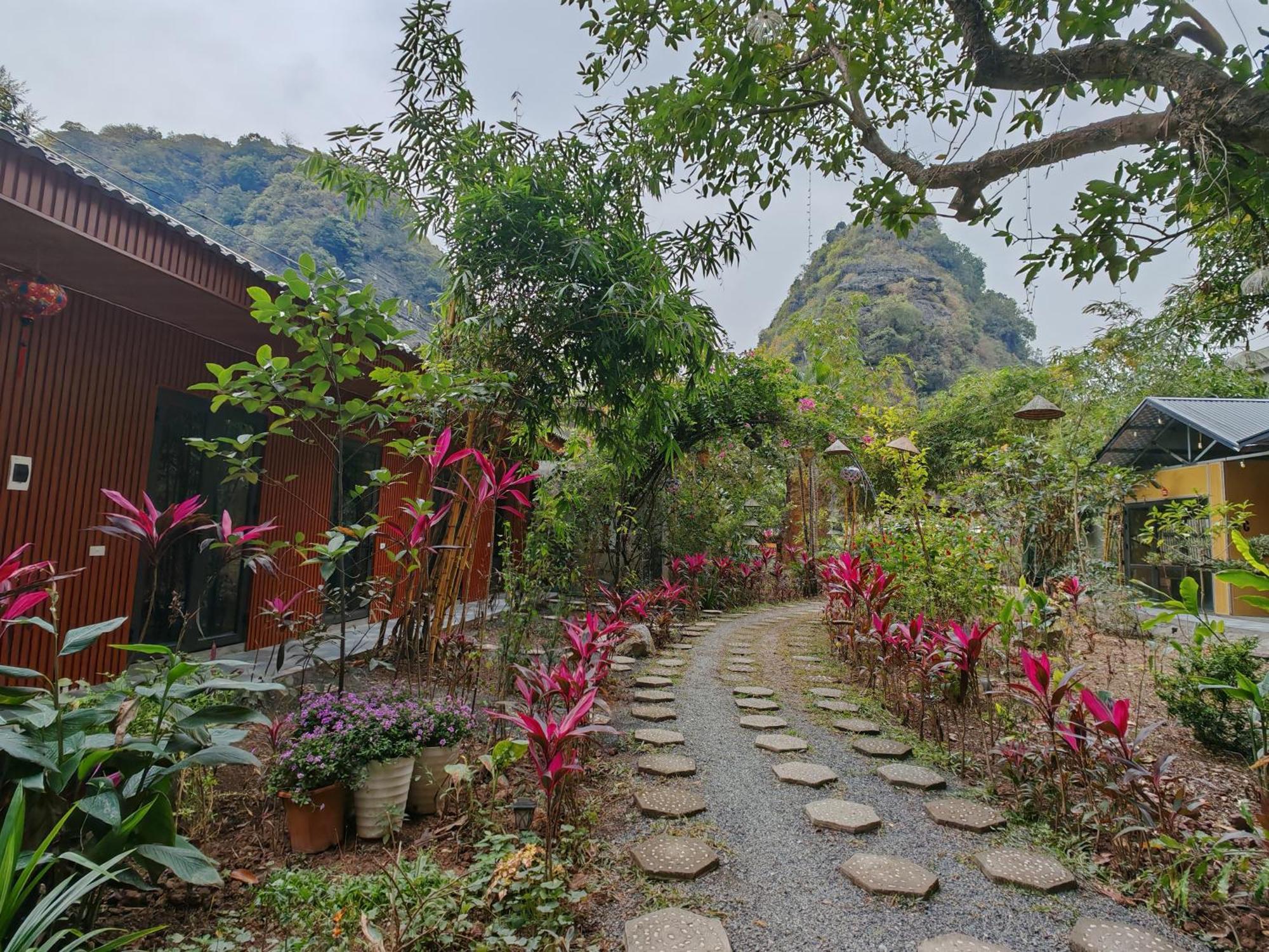 Green Valley Homestay - Thung Lung Xanh Nguyen Ngoai Екстериор снимка