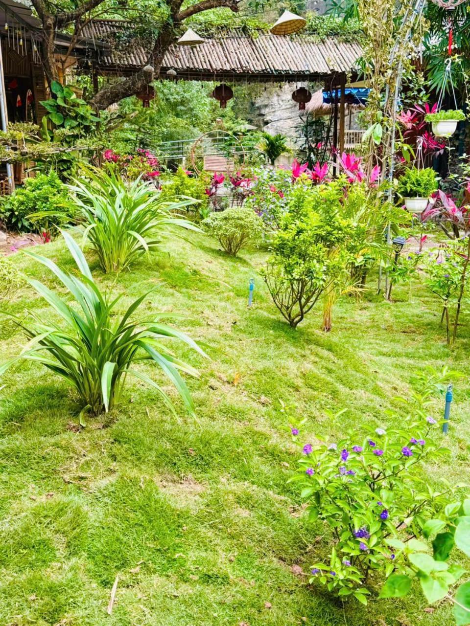 Green Valley Homestay - Thung Lung Xanh Nguyen Ngoai Екстериор снимка
