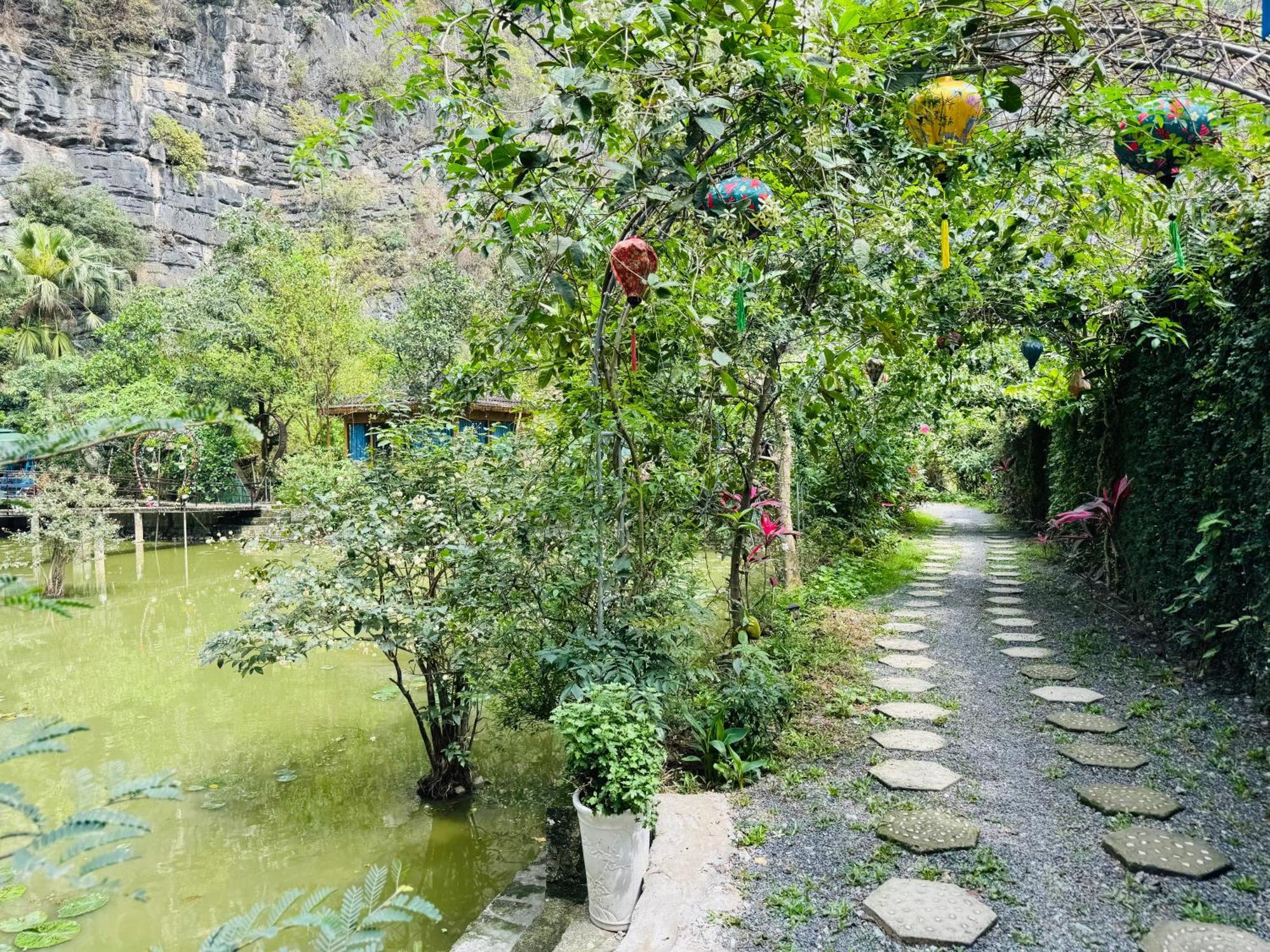Green Valley Homestay - Thung Lung Xanh Nguyen Ngoai Екстериор снимка