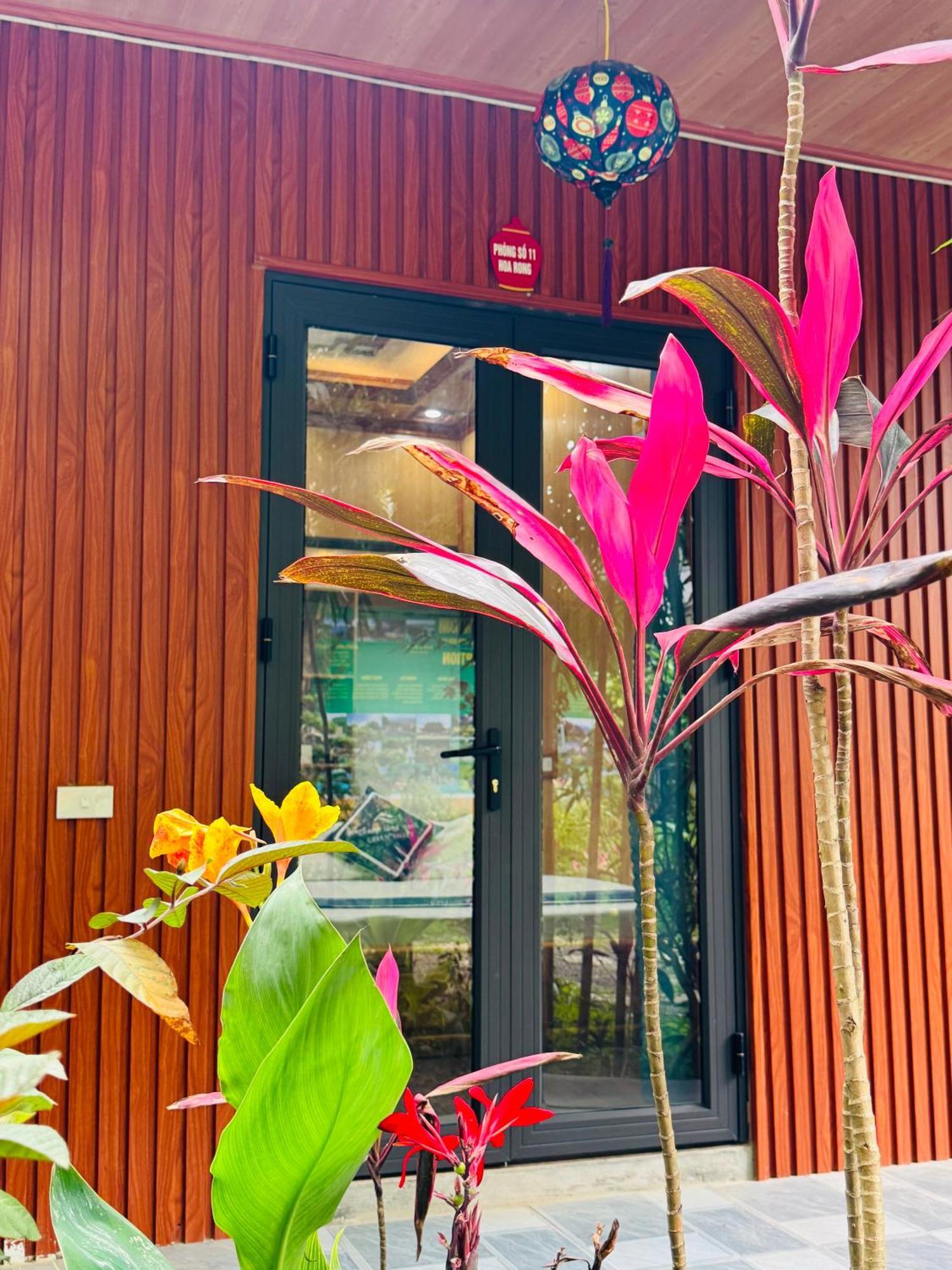 Green Valley Homestay - Thung Lung Xanh Nguyen Ngoai Екстериор снимка